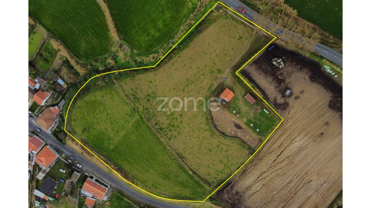 Terreno para Venda em Feteiras Foto 4