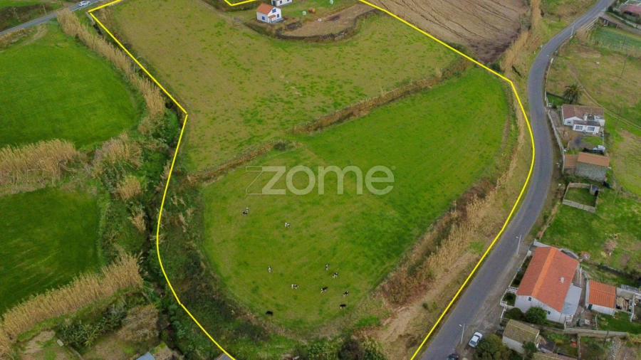 Terreno para Venda em Feteiras