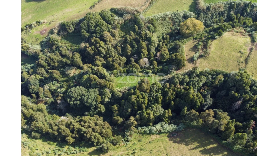Terreno para Venda em Ajuda da Bretanha Foto 4