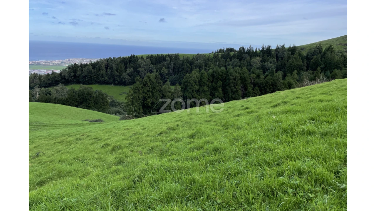 Terreno para Venda em Ribeira Grande (Conceição) Foto 15