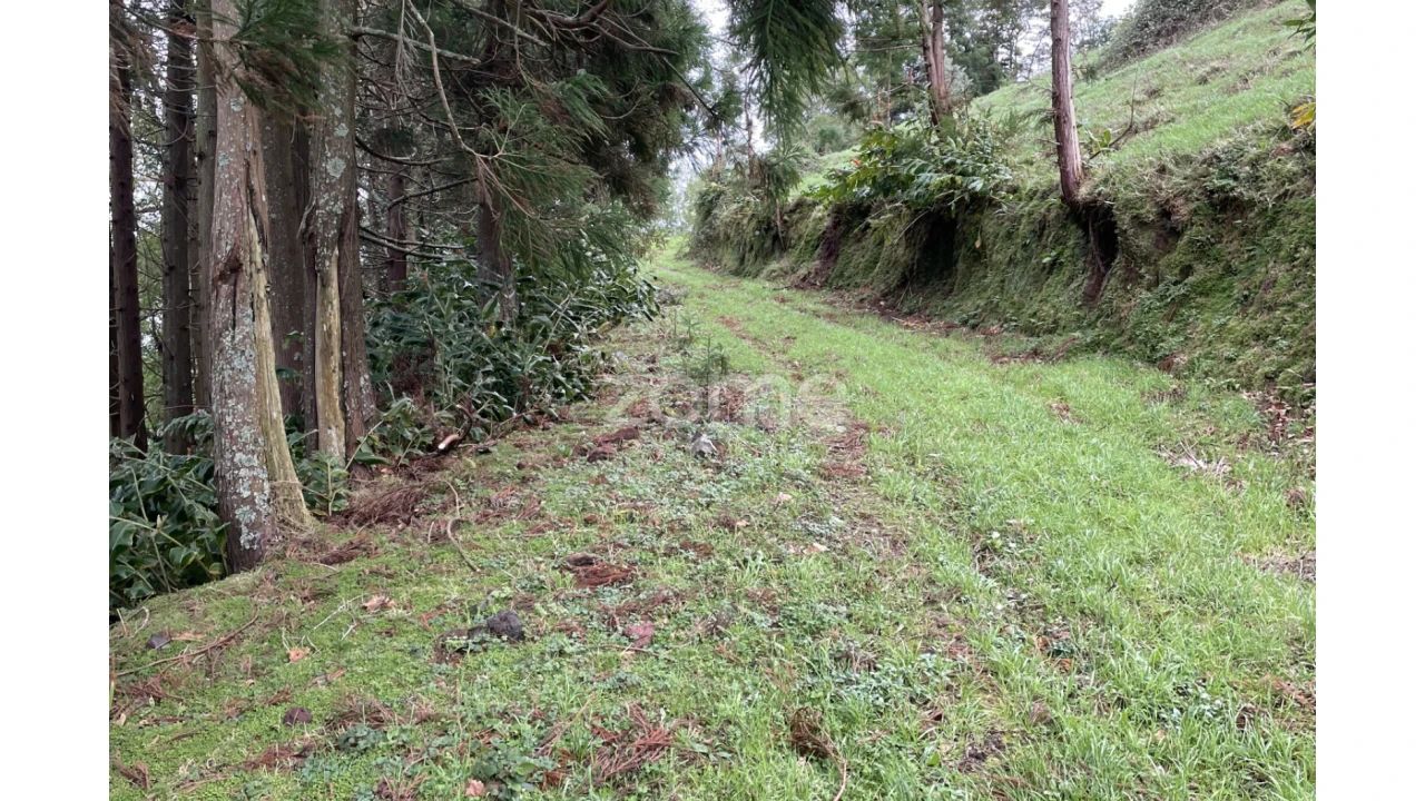 Terreno para Venda em Ribeira Grande (Conceição) Foto 5
