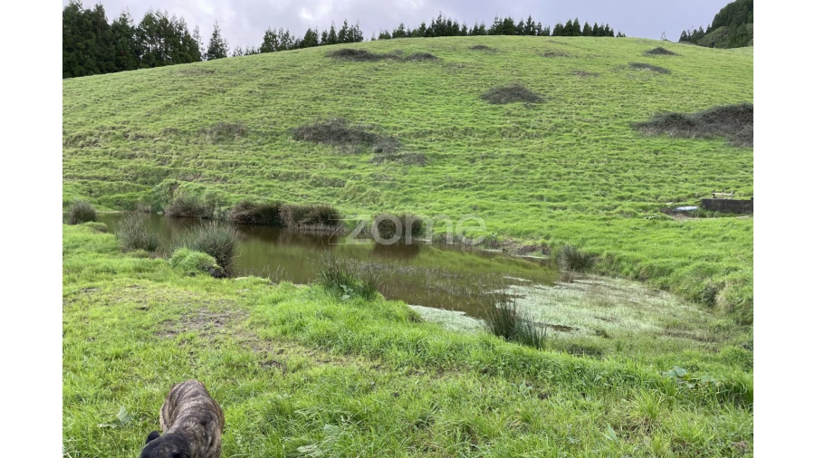 Terreno para Venda em Ribeira Grande (Conceição) Foto 17