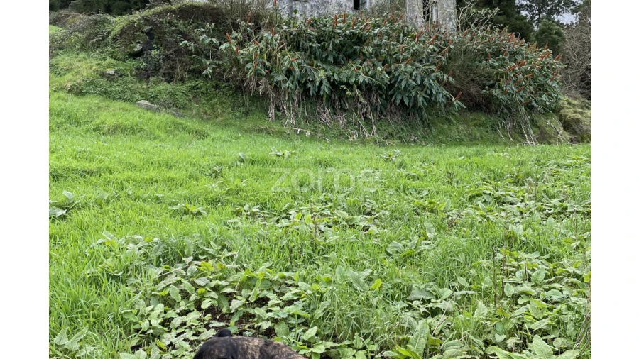 Terreno para Venda em Ribeira Grande (Conceição) Foto 9