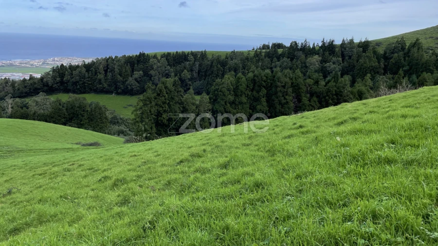 Terreno para Venda em Ribeira Grande (Conceição)
