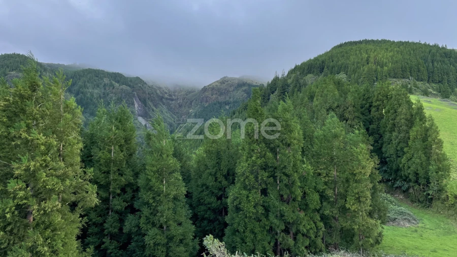 Terreno para Venda em Ribeira Grande (Conceição)