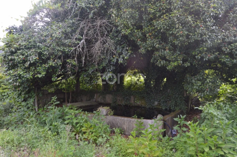 Quinta T9 para Venda em São Tomé de Negrelos Foto 14