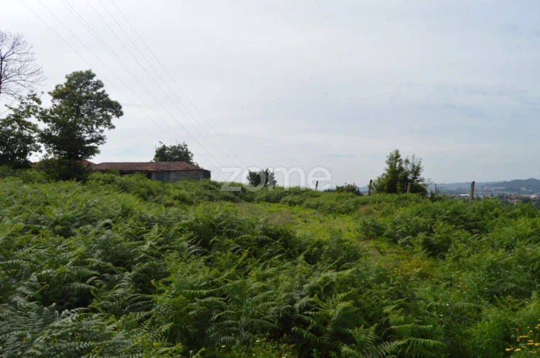 Quinta T9 para Venda em São Tomé de Negrelos Foto 21
