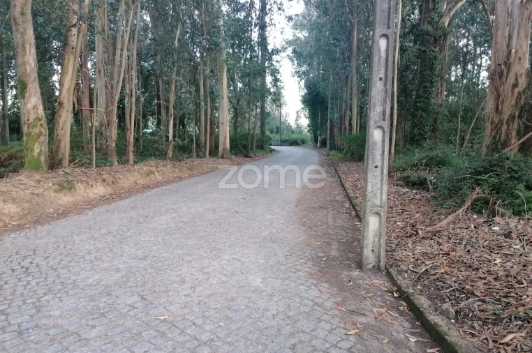 Terreno para Venda em Castelões Foto 12