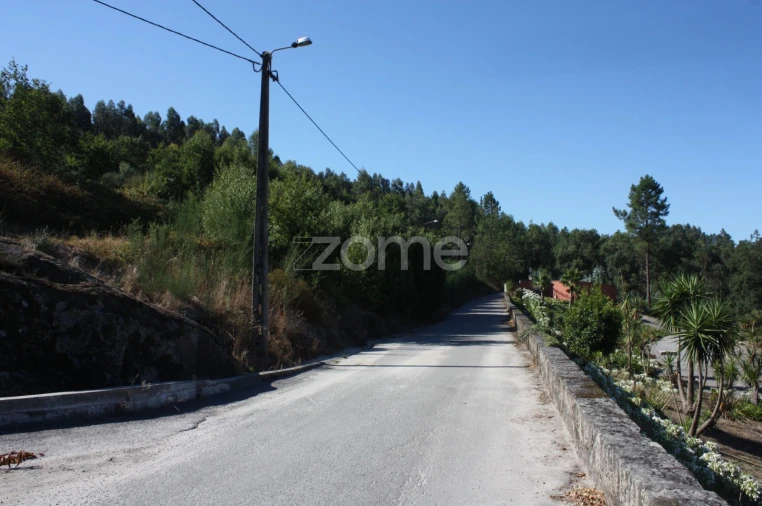 Terreno para Venda em Castelões Foto 3