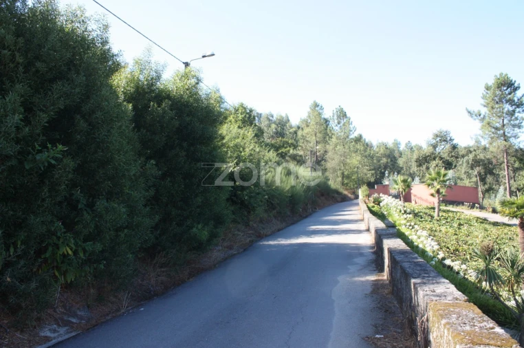 Terreno para Venda em Castelões Foto 1