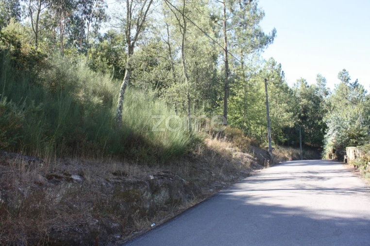 Terreno para Venda em Castelões Foto 5