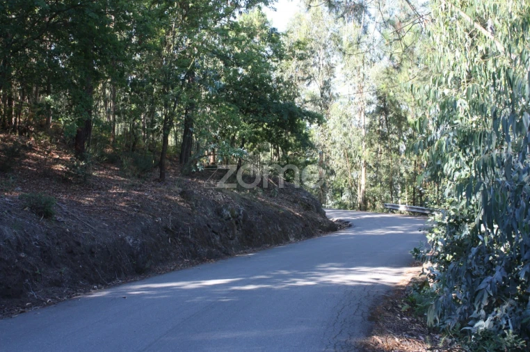 Terreno para Venda em Castelões Foto 6