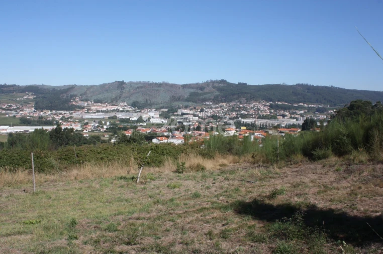 Terreno para Venda em Castelões Foto 9