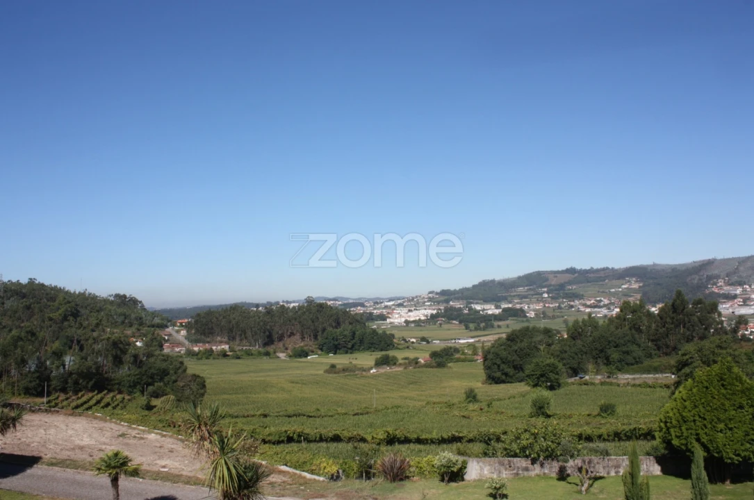 Terreno para Venda em Castelões Foto 4