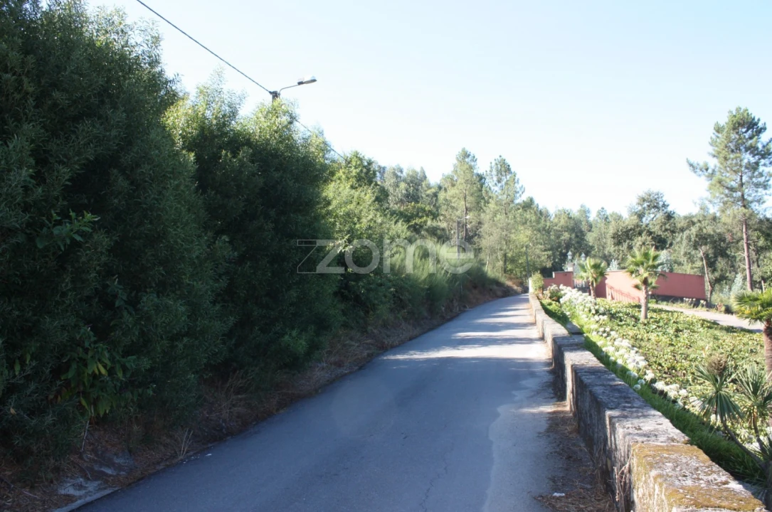 Terreno para Venda em Castelões Foto 1