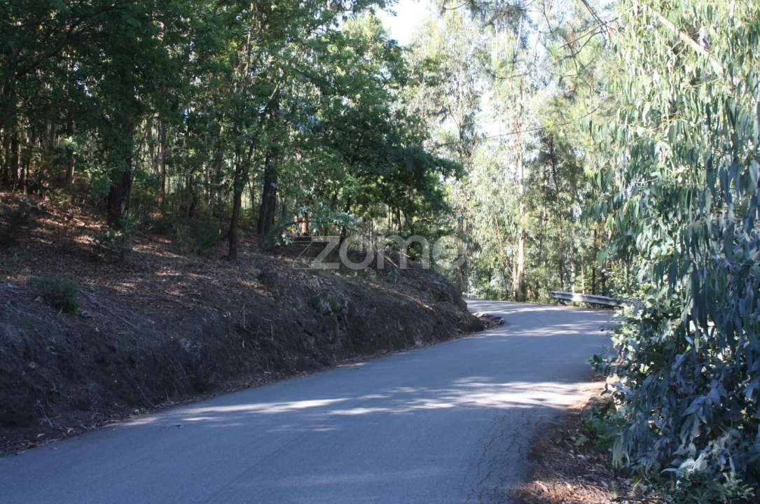 Terreno para Venda em Castelões Foto 6