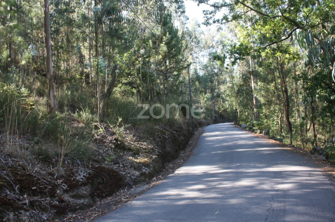 Terreno para Venda em Castelões Foto 7