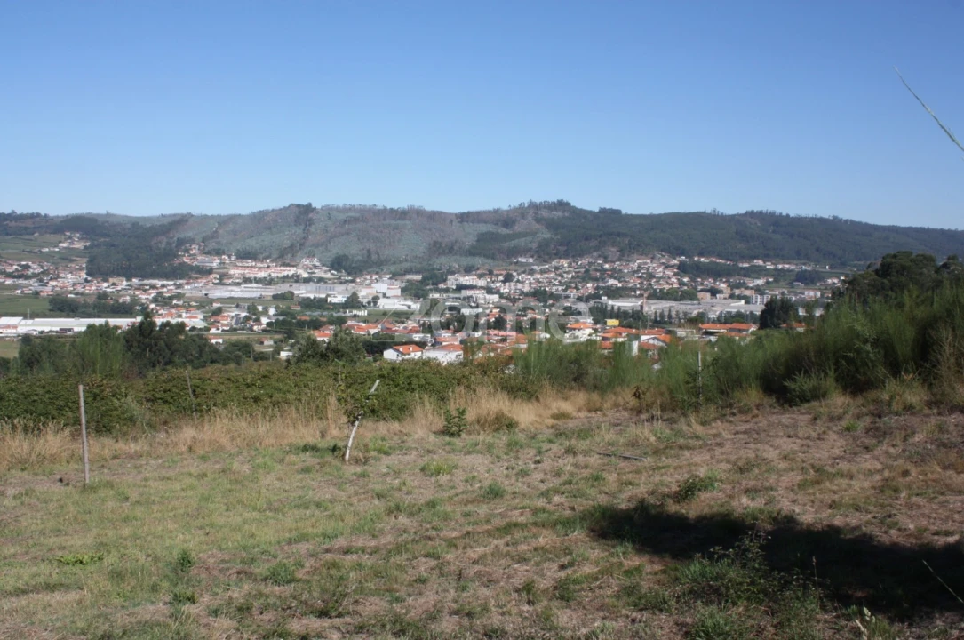 Terreno para Venda em Castelões Foto 9