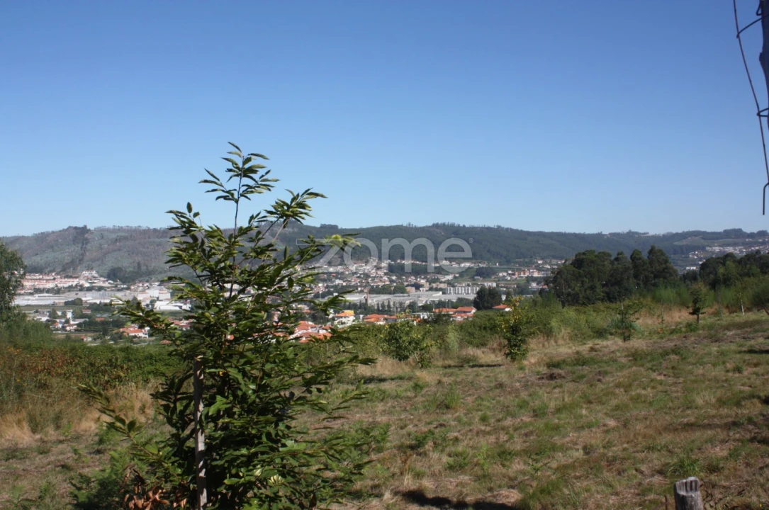 Terreno para Venda em Castelões Foto 11
