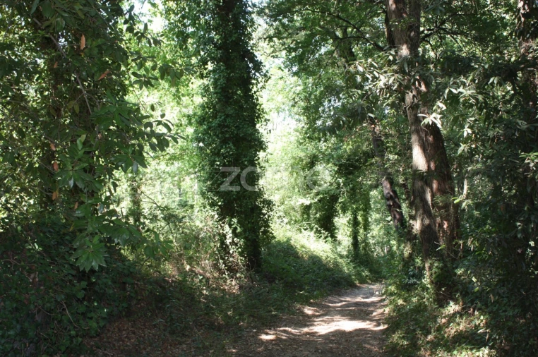Terreno para Venda em Avidos e Lagoa Foto 8