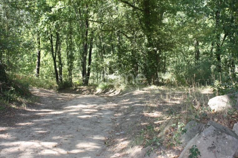 Terreno para Venda em Avidos e Lagoa Foto 9