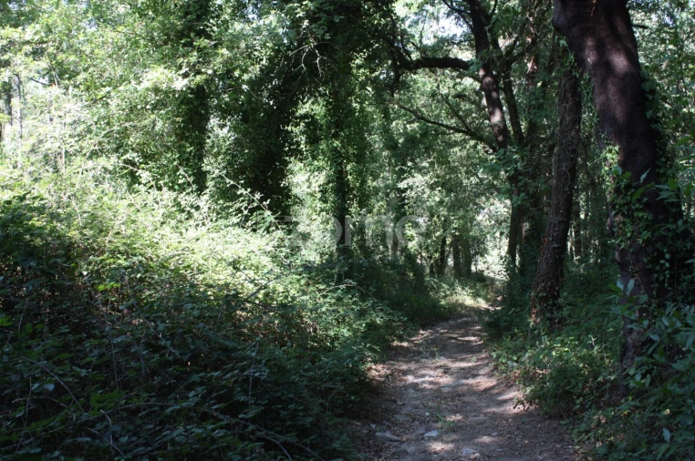 Terreno para Venda em Avidos e Lagoa Foto 10