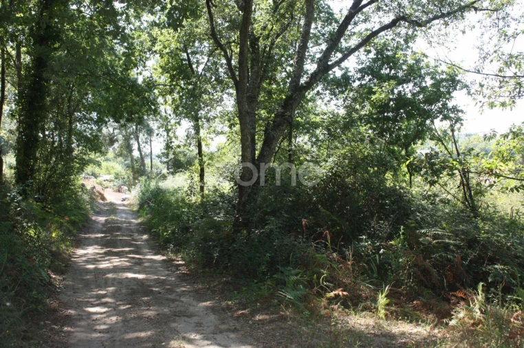 Terreno para Venda em Avidos e Lagoa Foto 11