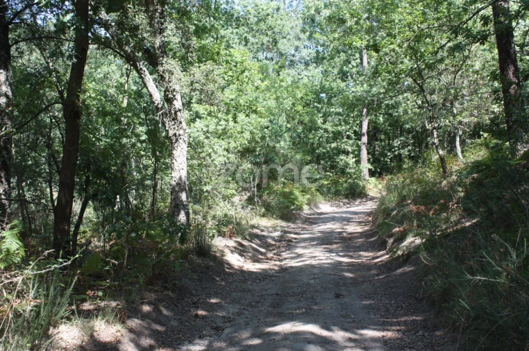 Terreno para Venda em Avidos e Lagoa Foto 12