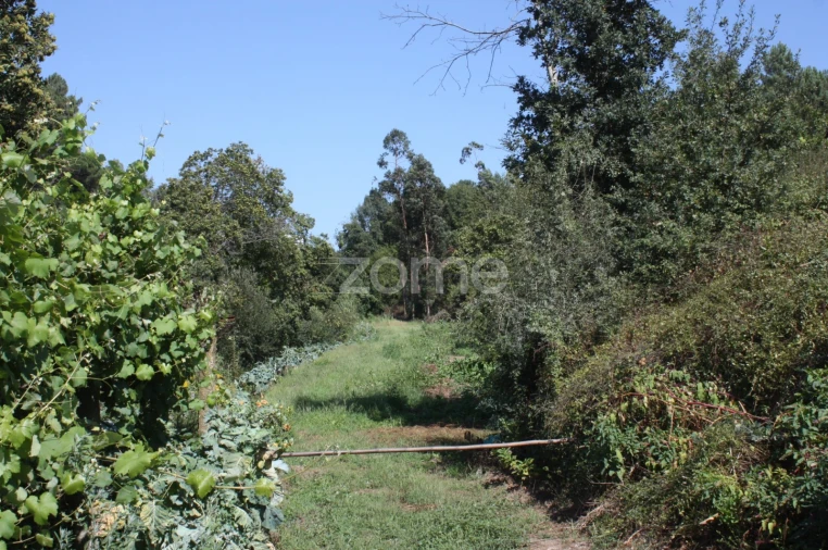 Terreno para Venda em Avidos e Lagoa Foto 4