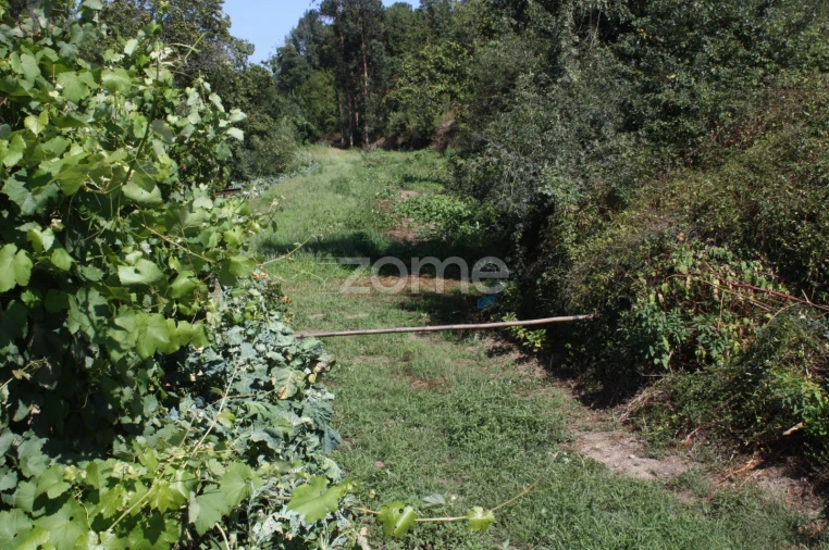 Terreno para Venda em Avidos e Lagoa Foto 7