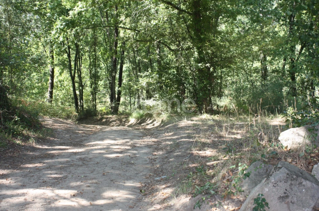 Terreno para Venda em Avidos e Lagoa Foto 9