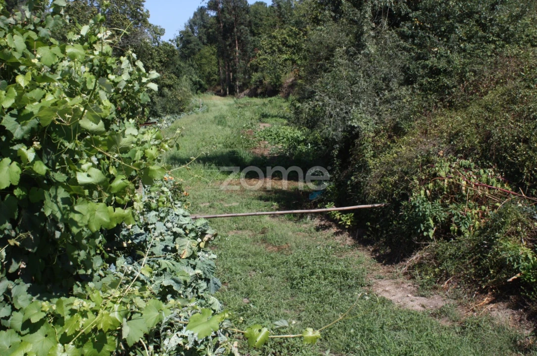 Terreno para Venda em Avidos e Lagoa Foto 7