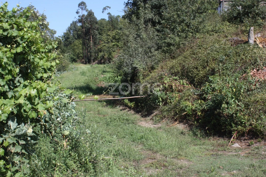 Terreno para Venda em Avidos e Lagoa Foto 15