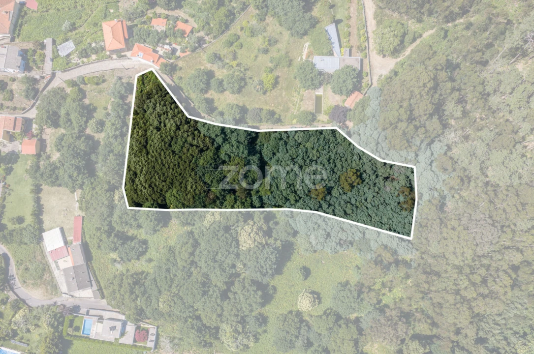 Terreno para Venda em Seixas Foto 1