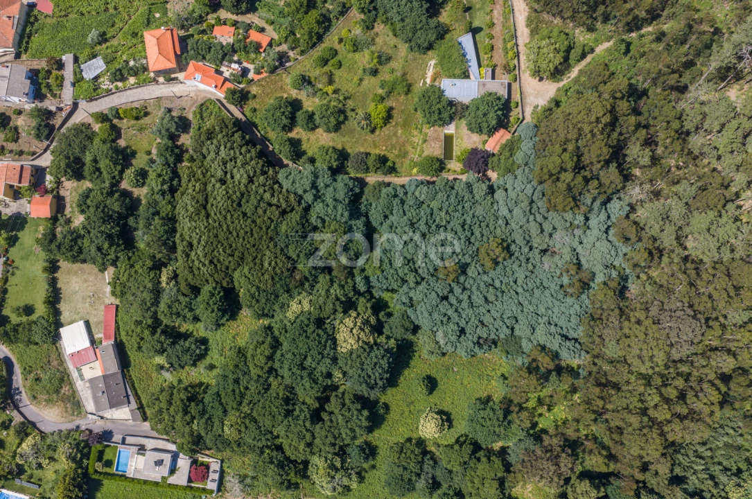 Terreno para Venda em Seixas Foto 4