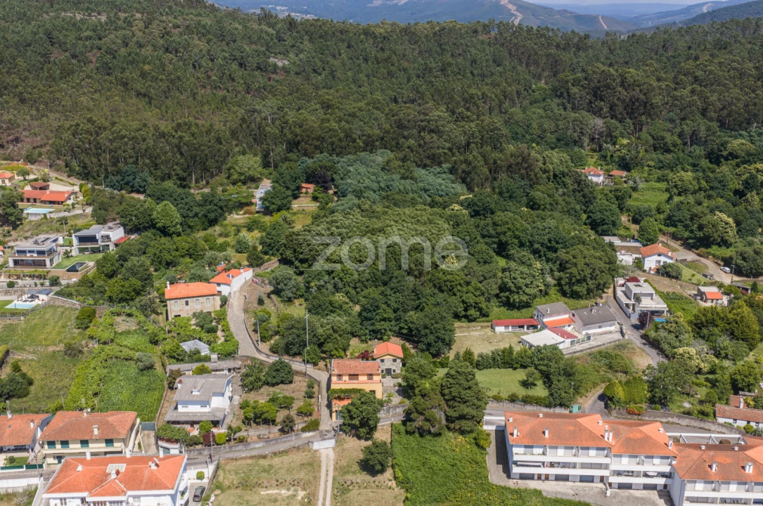 Terreno para Venda em Seixas Foto 8