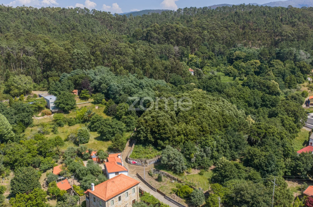 Terreno para Venda em Seixas Foto 14