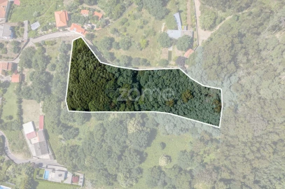 Terreno para Venda em Seixas