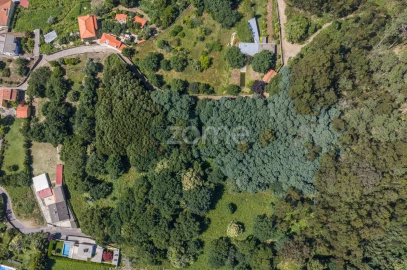 Terreno para Venda em Seixas