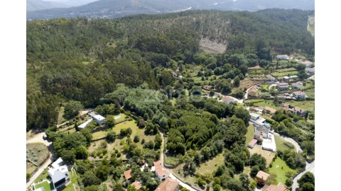 Terreno para Venda em Seixas