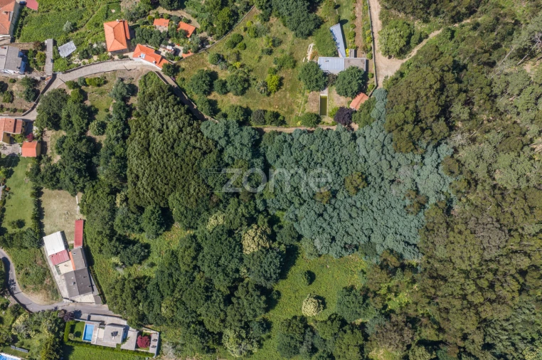 Terreno para Venda em Seixas Foto 4