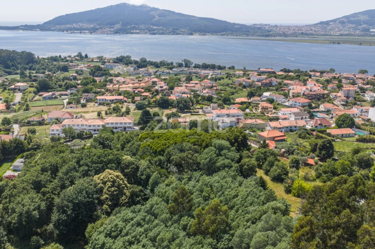 Terreno para Venda em Seixas Foto 11