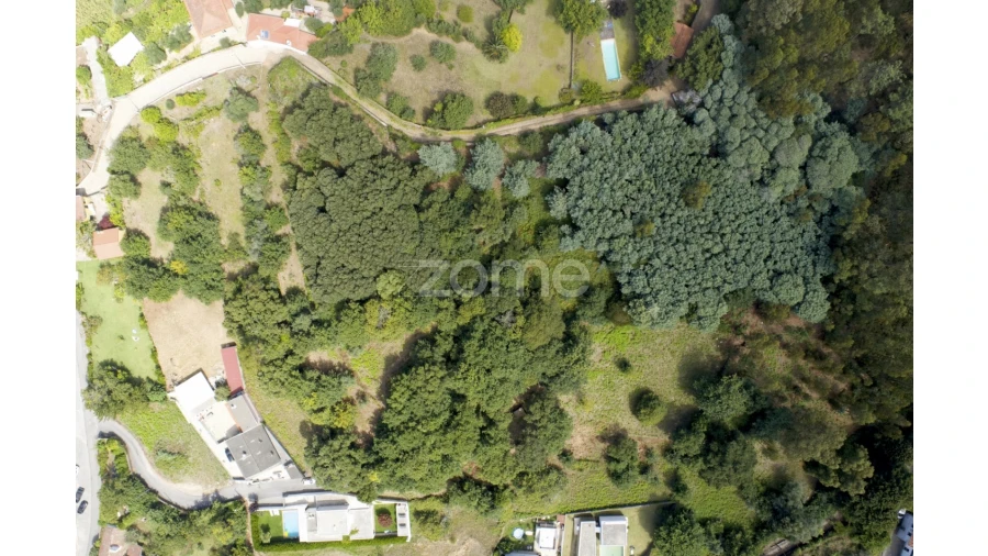 Terreno para Venda em Seixas Foto 9