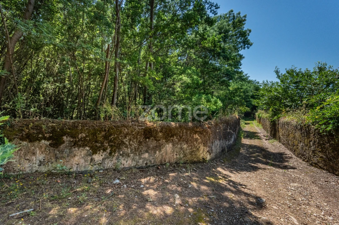 Terreno para Venda em Seixas Foto 16