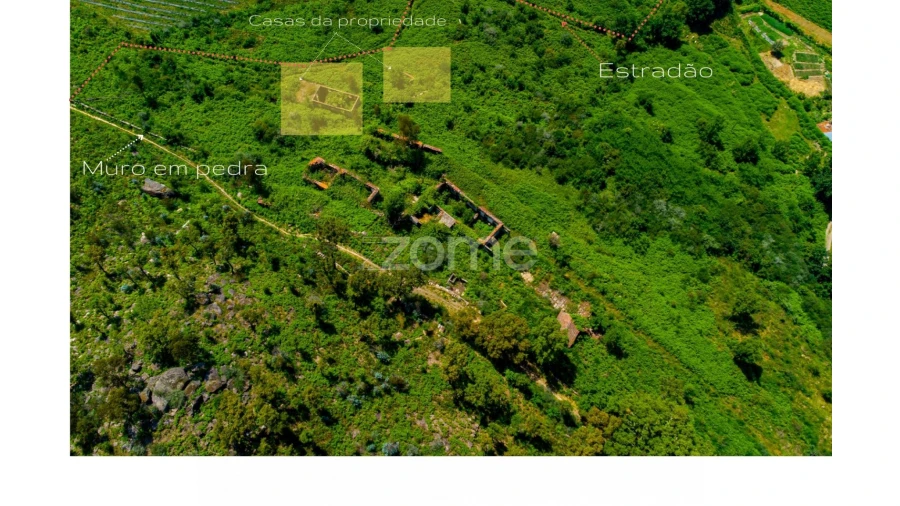 Terreno para Venda em Vila Boa do Bispo Foto 16