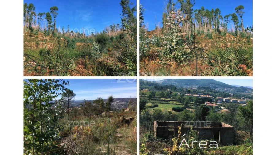 Terreno para Venda em Vila Boa do Bispo Foto 17