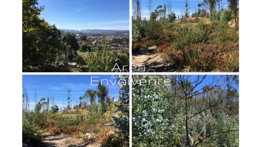 Terreno para Venda em Vila Boa do Bispo Foto 19