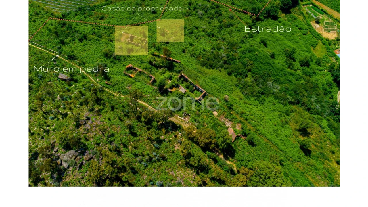 Terreno para Venda em Vila Boa do Bispo Foto 16