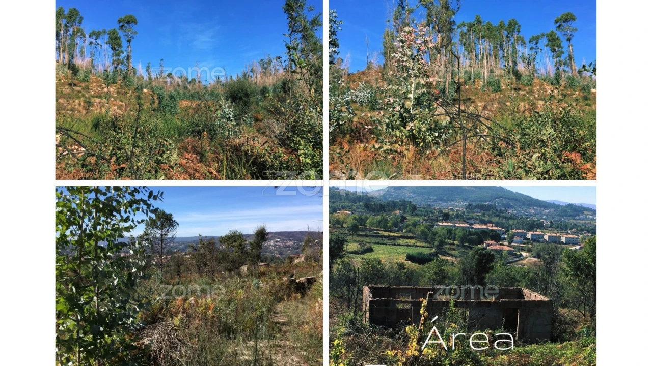 Terreno para Venda em Vila Boa do Bispo Foto 17