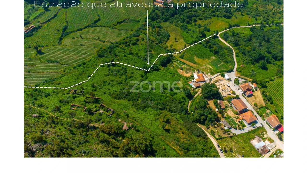 Terreno para Venda em Vila Boa do Bispo Foto 14